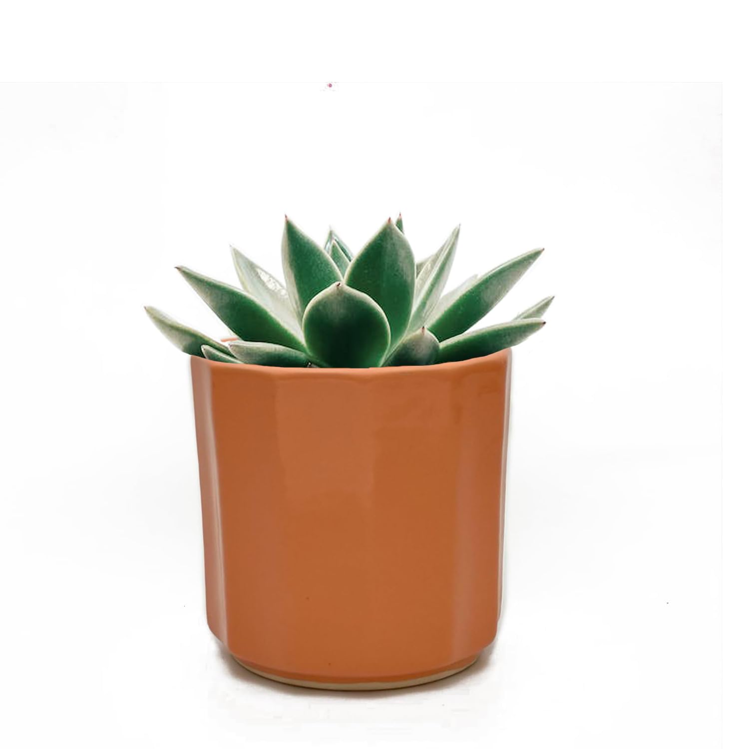 Handmade Ceramic Planter Pot for Indoor & Outdoor Plants - 5x5 Inch Modern Flower Pot with Drainage Hole - Home & Office Decor (Orange) | Perfect for Succulents, Herbs & Small Houseplants