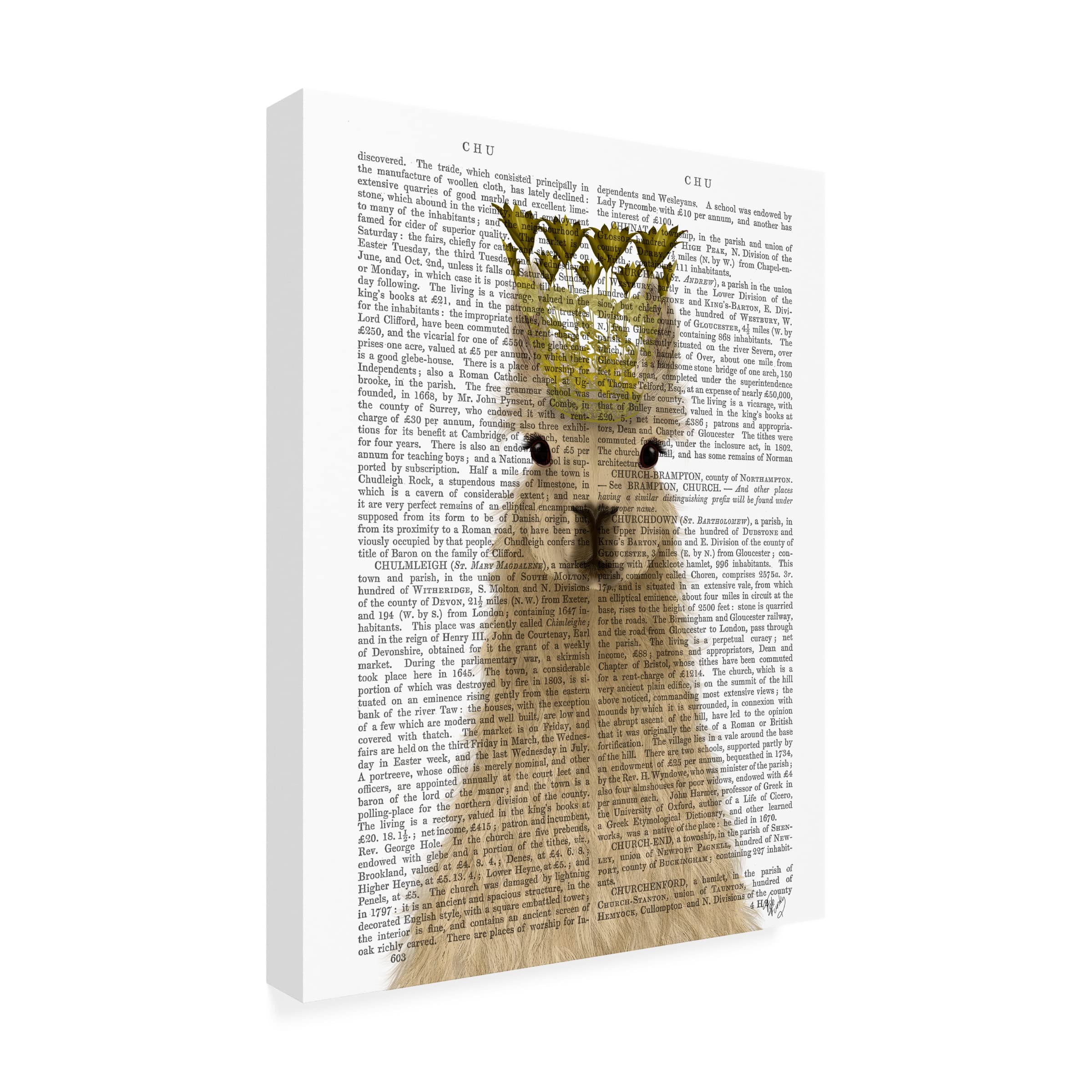Trademark Fine Art 'Llama Queen Book Print' Canvas Wall Art by Fab Funky - Perfect for Nursery, Kids Room & Bohemian Home Decor