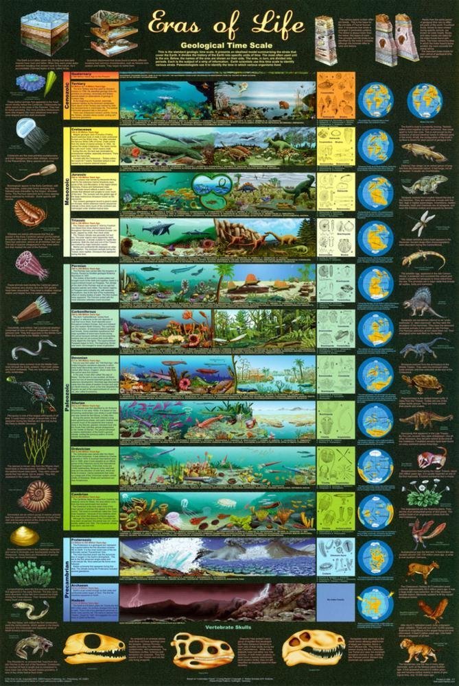 Eras of Life Geological Time Scale Poster - 24x36 Inch Educational Science Wall Chart for Classrooms, Homeschooling & Geology Enthusiasts - Perfect for Science Teachers, Students & Home Decor