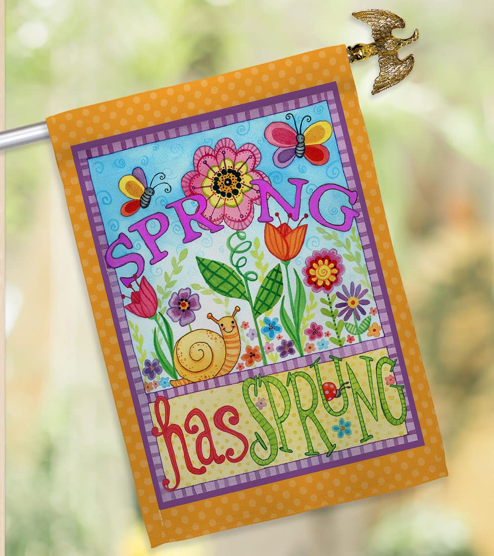 Spring Floral Bugs House Flag Set 28x40 with Pole - Outdoor Garden Decor