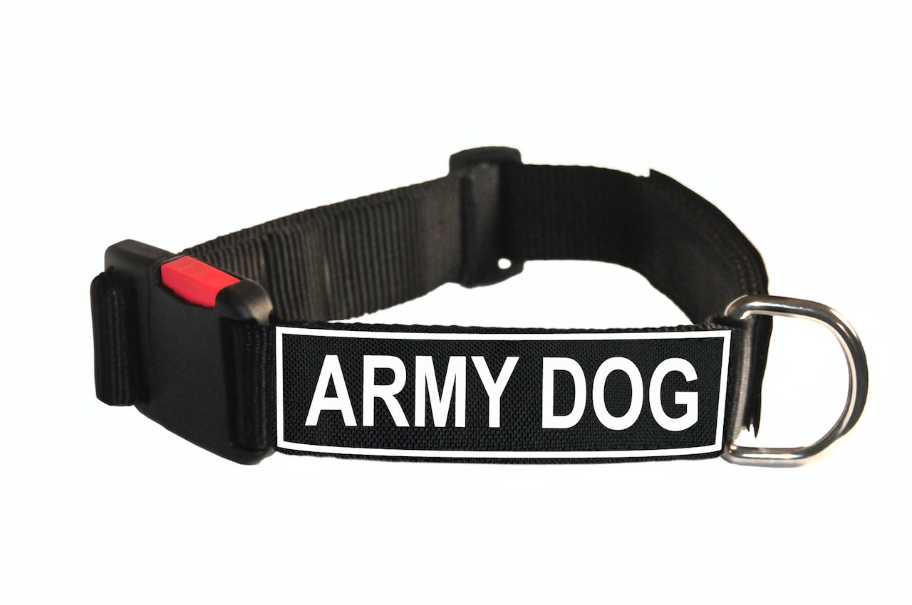 Dean & Tyler Medium Nylon Dog Collar with Army Patches - Adjustable 21 to 26-Inch Neck for Military Dogs, Police K9 & Outdoor Training