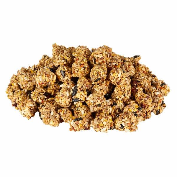 Kaytee Granola Bites with Superfoods - Cranberry, Apple & Flax Seed Healthy Treat for Small Animals | Perfect for Hamsters, Guinea Pigs & Rabbits as Snack or Training Reward