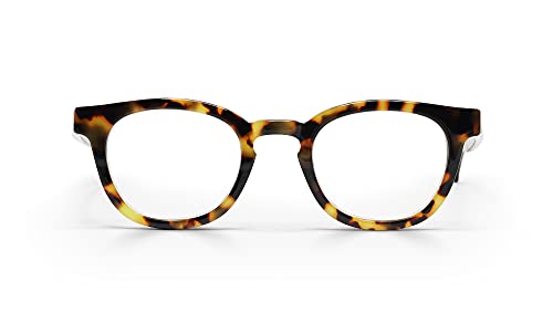 Tortoise Front and Temples