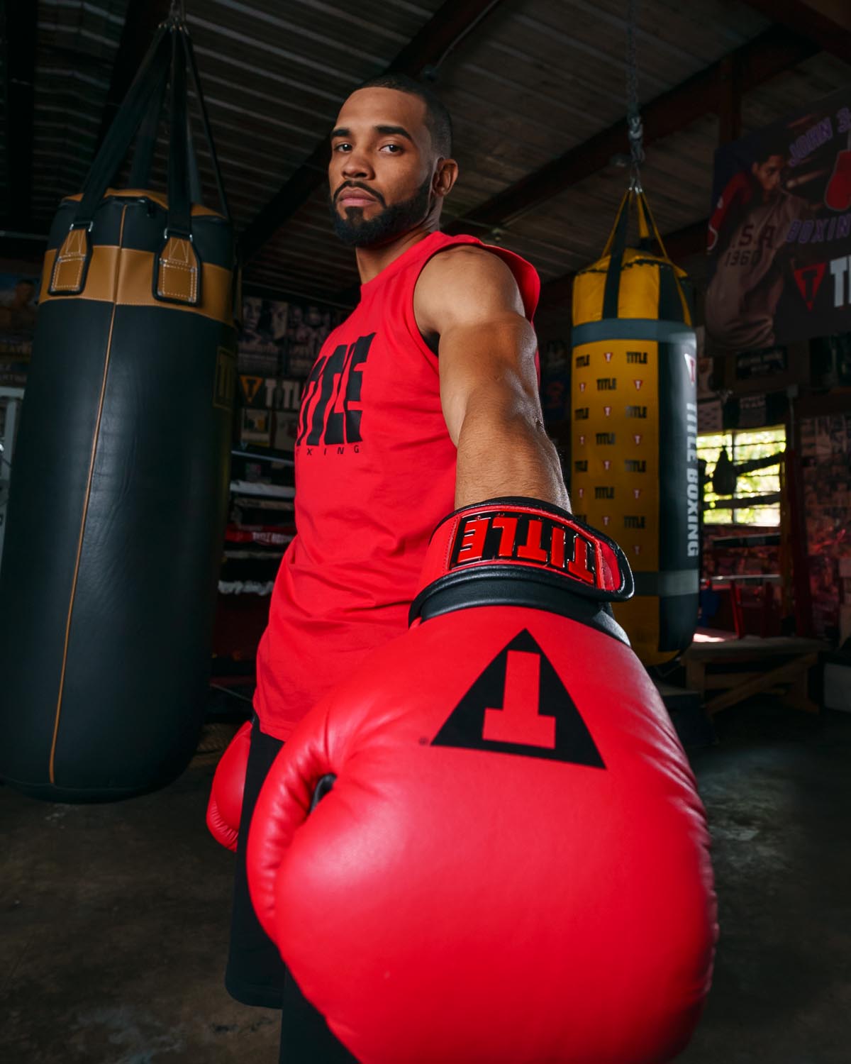 TITLE Boxing Dauntless Training Boxing Gloves for Men & Women - Premium MMA, Kickboxing, and Heavy Bag Workouts - Ideal for Gym, Home Training, and Fitness Enthusiasts