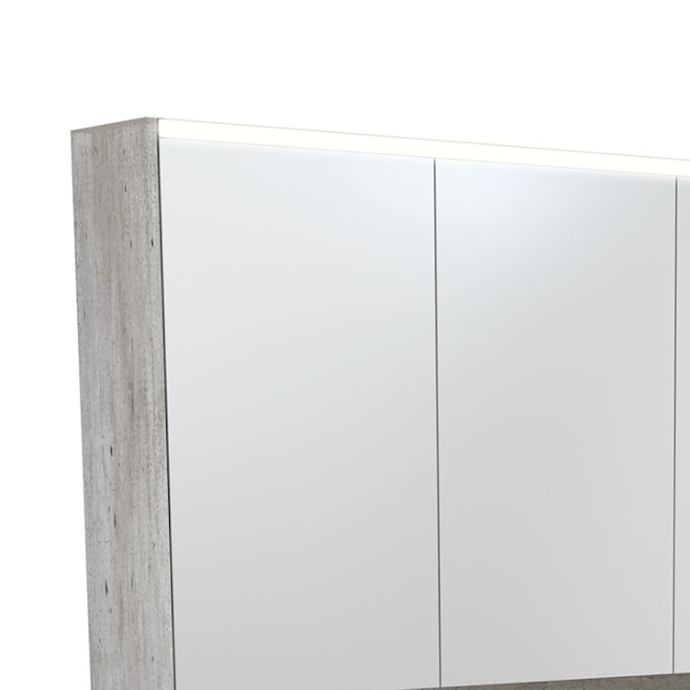Fienza PSC1200SX 48-Inch LED Bathroom Mirror Cabinet with Undershelf Lighting - Modern Industrial Style Vanity Mirror for Bathroom, Bedroom, and Salon Storage