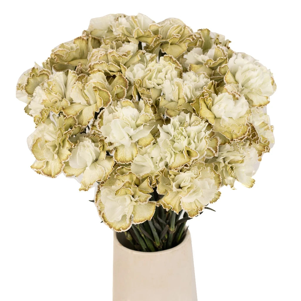 Antique Green Carnation Silk Flowers - Realistic Artificial Floral Decor for Home, Wedding, Party, and Event Centerpieces