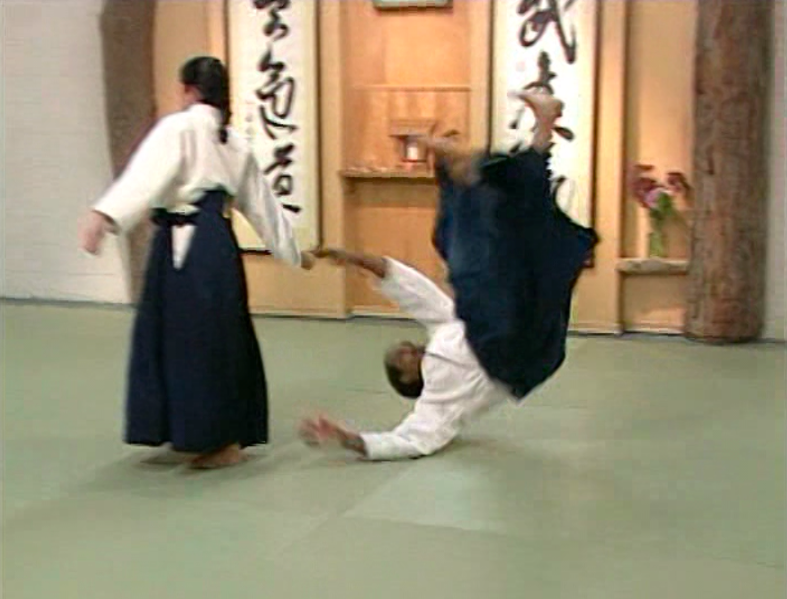 Preowned Aikido Ukemi 1: Meeting the Mat DVD by Donovan Waite - Learn Falling Techniques for Martial Arts Training & Self-Defense Practice