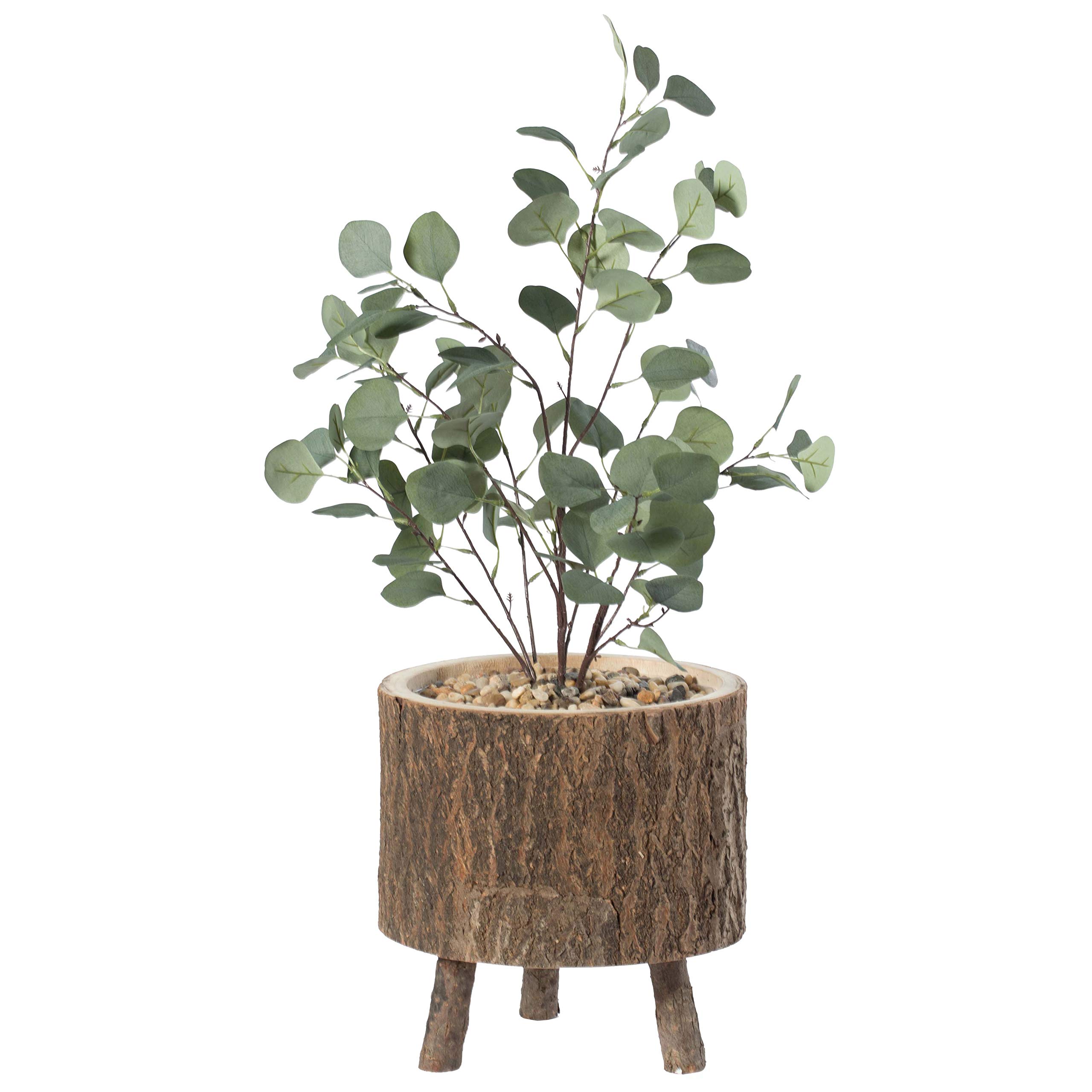 Rustic Wooden Stump Planter with Natural Bark & Branch Legs - Handmade Tree Log Flower Pot for Home Garden, Patio, and Indoor Plant Decor