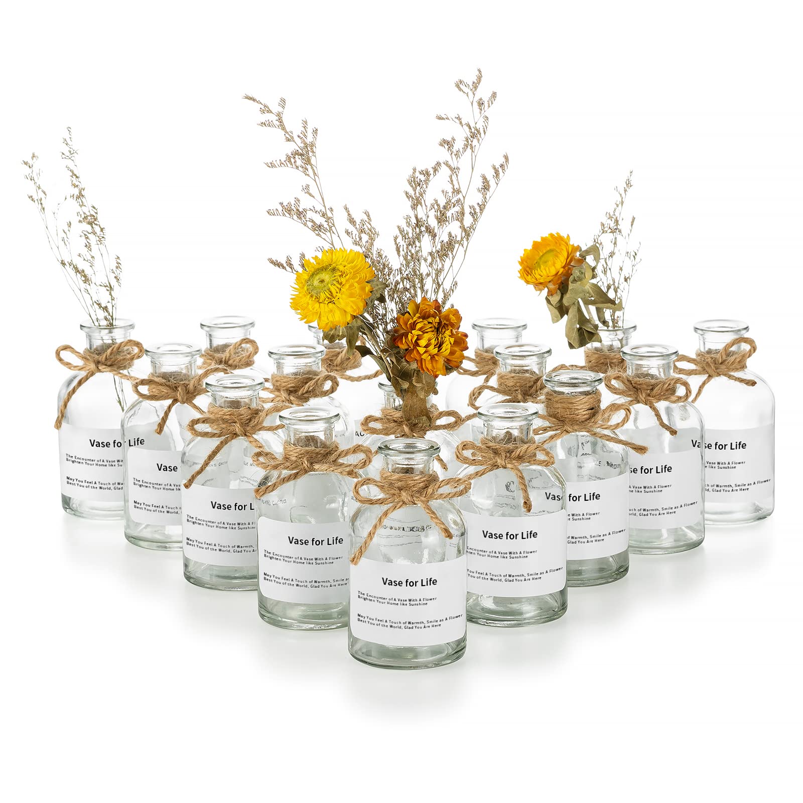 Glasseam Small Clear Glass Bud Vases - Set of 16 Mini Boho Flower Vases for Wedding Centerpieces, Home Decor, Living Room & Table Decorations | Perfect for Floral Arrangements, Parties, and Boho Chic Styling
