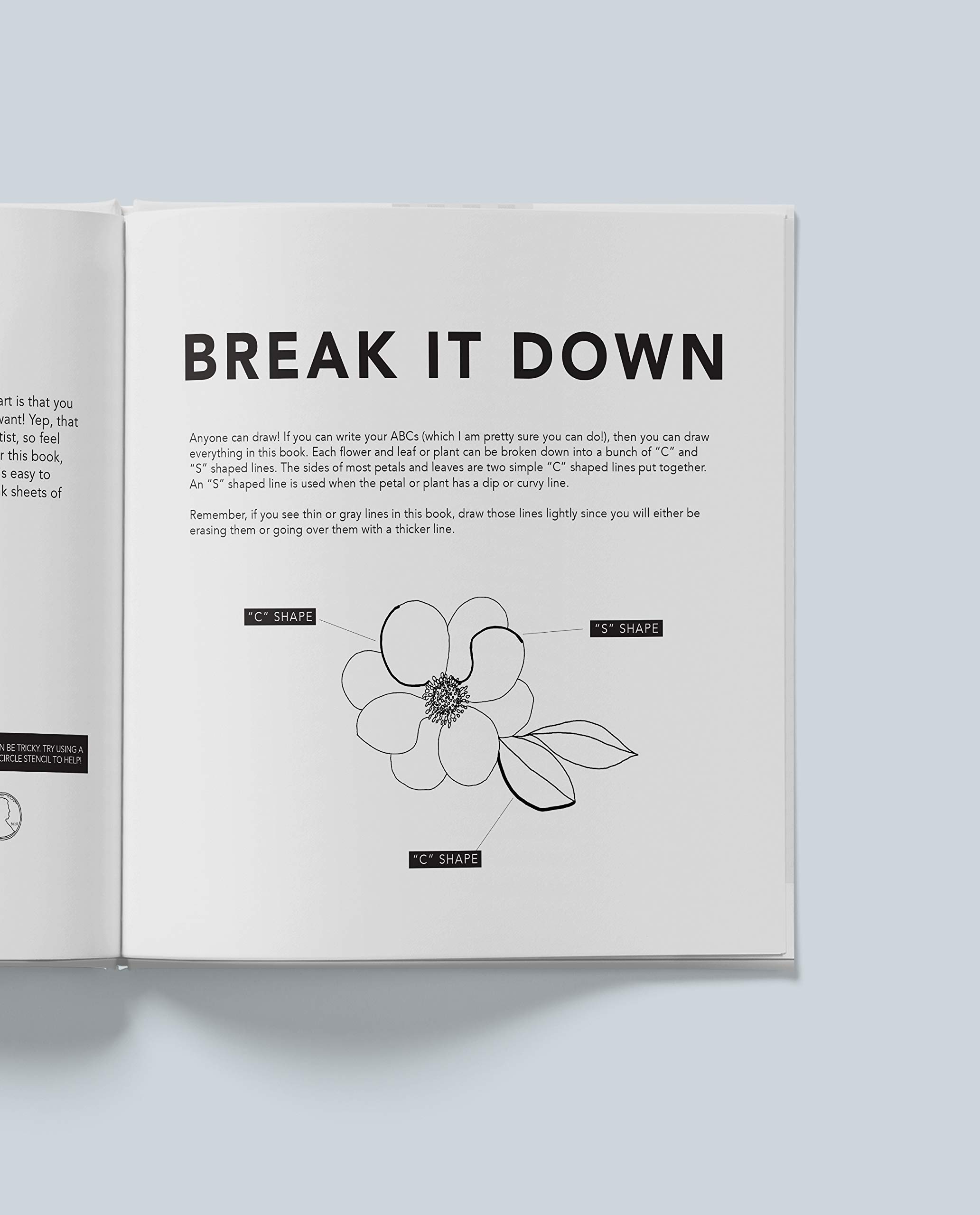 How to Draw Flowers, Plants & Botanicals for Kids - Step by Step Drawing Book for Children | Learn to Create Beautiful Garden Art, Perfect for Homeschooling & Creative Play
