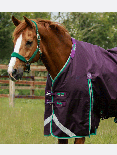 Premier Equine Buster 200g Turnout Rug with Neck Cover - Waterproof & Breathable Horse Blanket for Winter Turnout & Stable Use