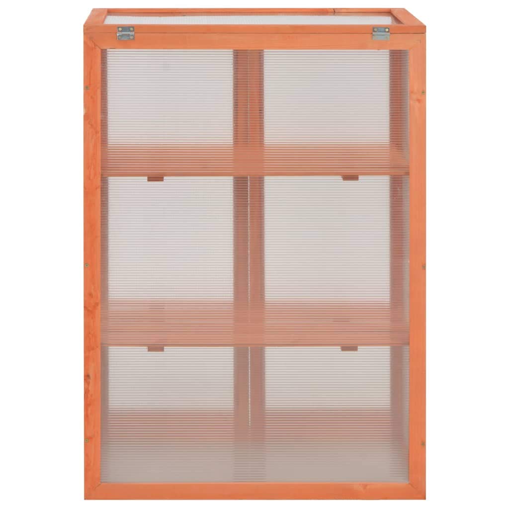 **Outdoor Wooden Greenhouse for Plants - 2 Shelves & 2 Patio Doors - 29.5