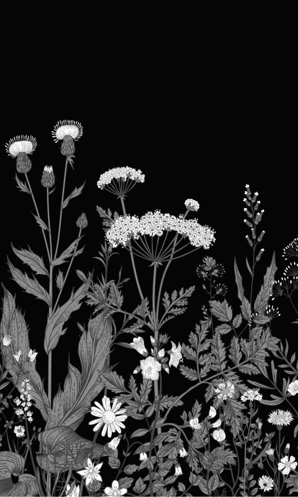 Black Illustrated Blooming Flowers Mural Wallpaper M9443 - Elegant Floral Peel and Stick Wall Decal for Bedroom, Living Room & Nursery Decor