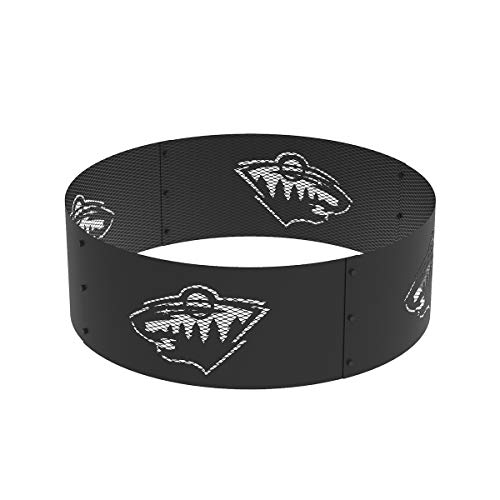 Minnesota Wild