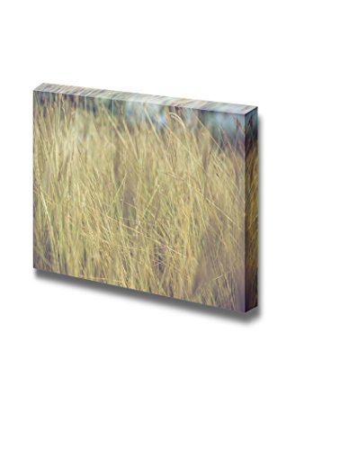 Grass Flower