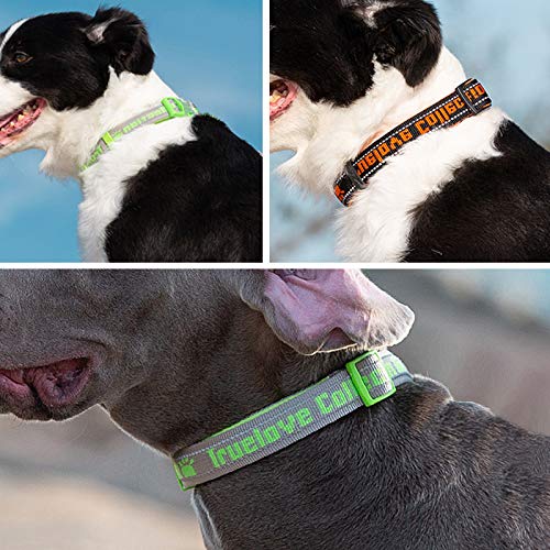 La La Pet® Reflective Adjustable Lightweight Dog Collar - Breathable Soft Padded Puppy Training Collar with Buckle & D-Ring - Nylon Straps for Outdoor Walking, Running & Training (Brown, Small) - Perfect for Nighttime Safety and Daily Pet Adventures