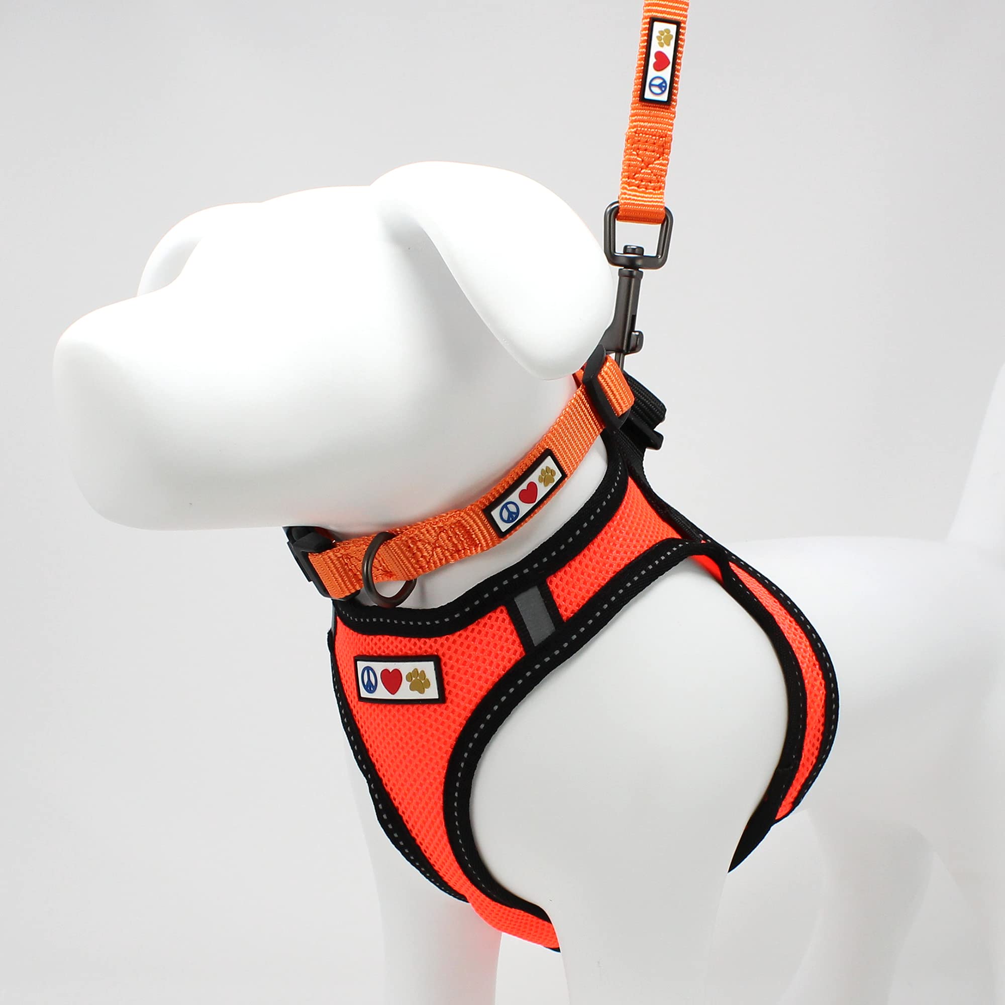 Pawtitas Reflective Mesh Dog Harness, Collar & Leash Set - Small/Extra Small for Small Dogs, Orange - Perfect for Night Walks, Training & Outdoor Adventures