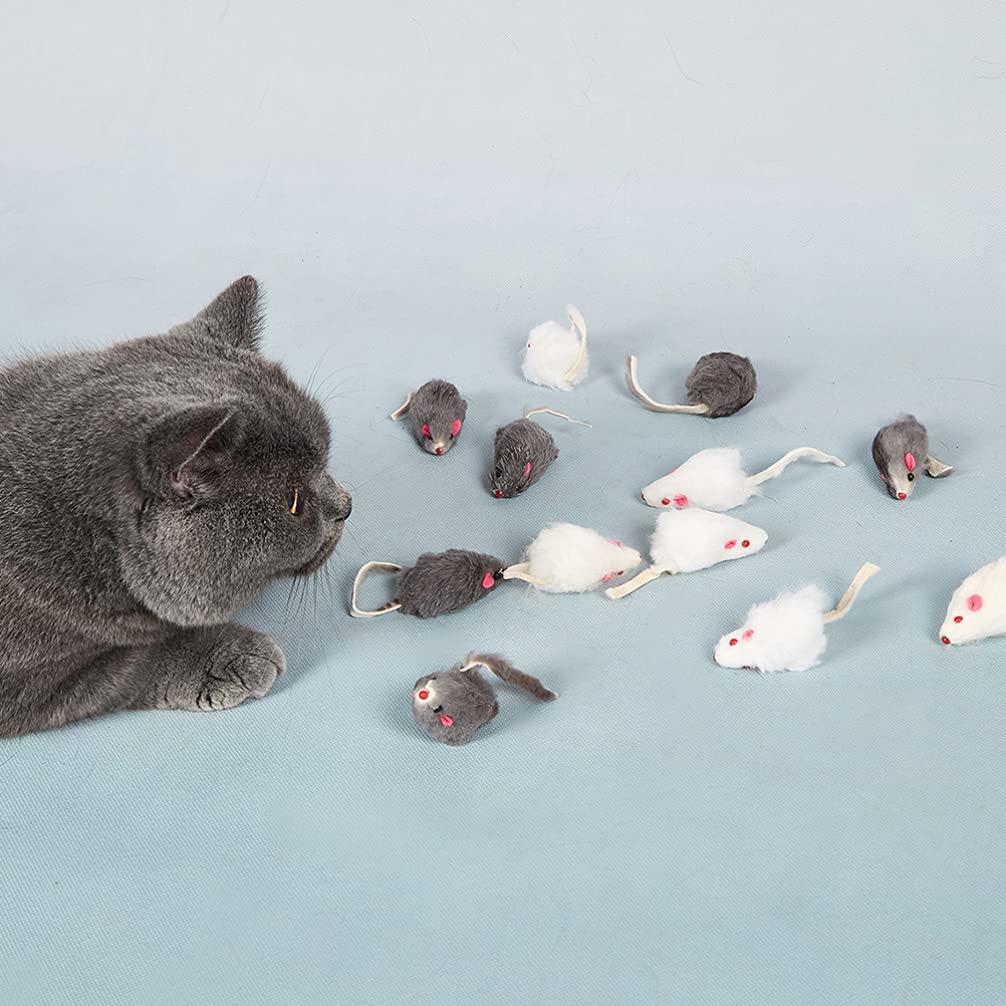 Balacoo 12-Piece Plush Cat Toys Set - Interactive Stuffed Animal Chasing Toys for Cats & Dogs, Realistic Chew Toys for Pet Exercise, Play & Training - Perfect for Indoor Playtime & Stress Relief