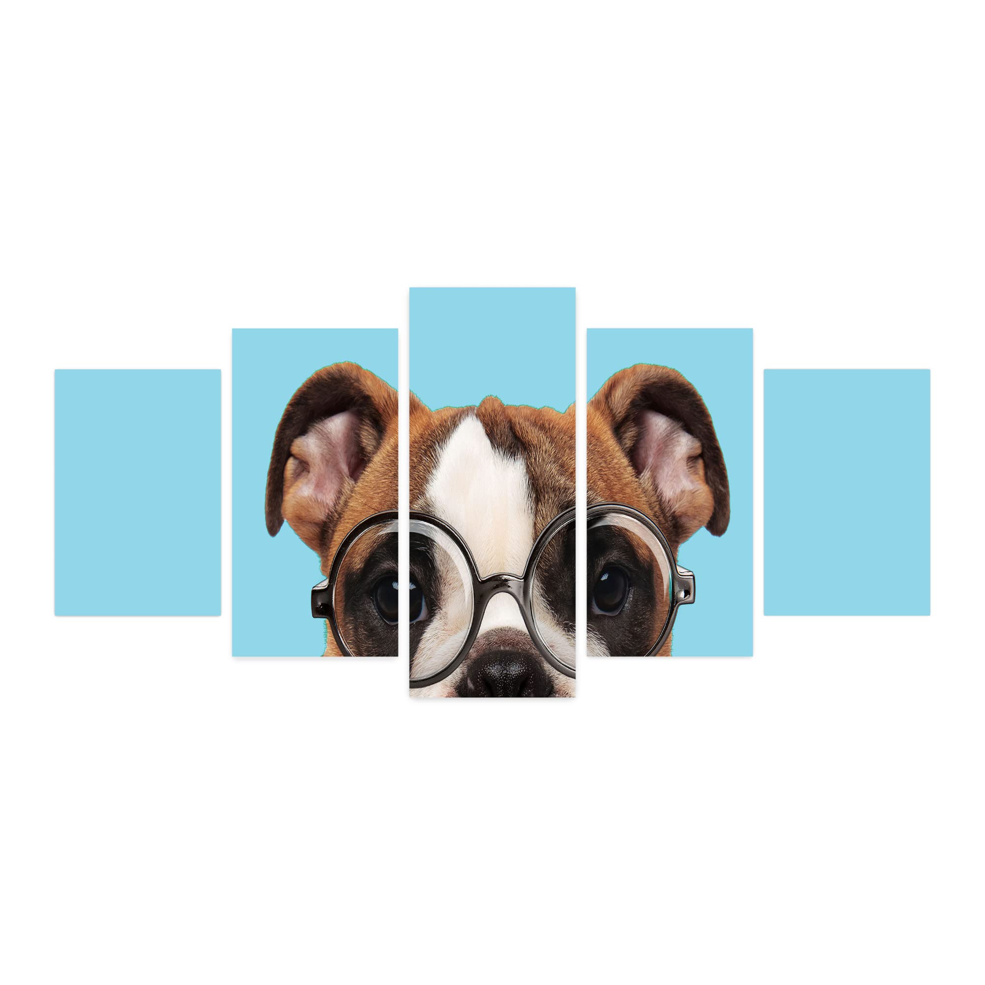 Ambesonne Funny Puppy English Bulldog in Round Glasses 5-Panel Acrylic Glass Wall Art - Whimsical Pop Art Portrait for Living Room, Bedroom & Dorm Decor - 60