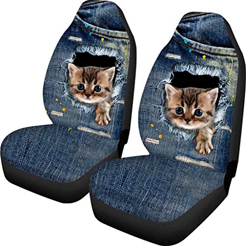 Denim Cat 1