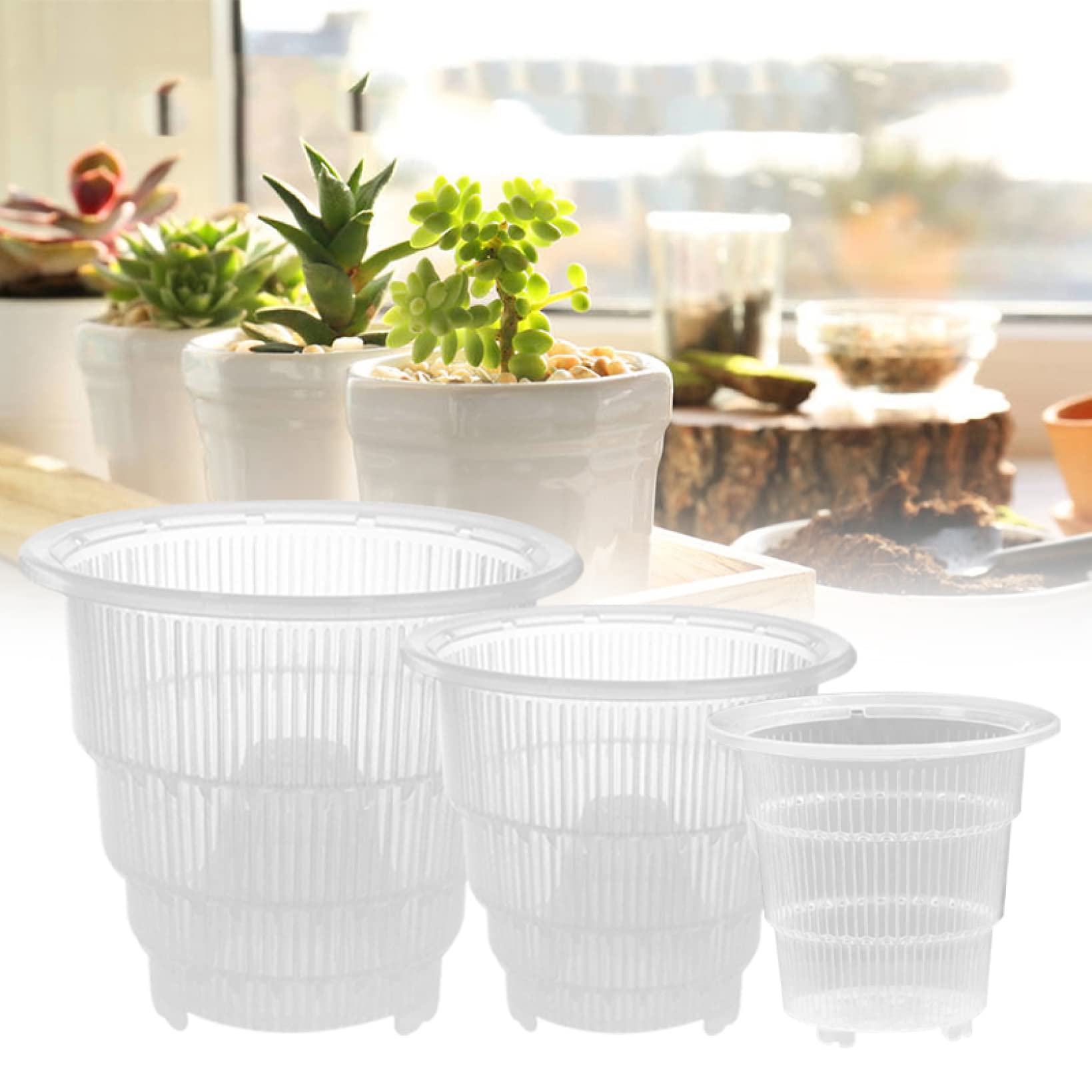Breathable Clear Orchid Pots for Gardening & Home Decor