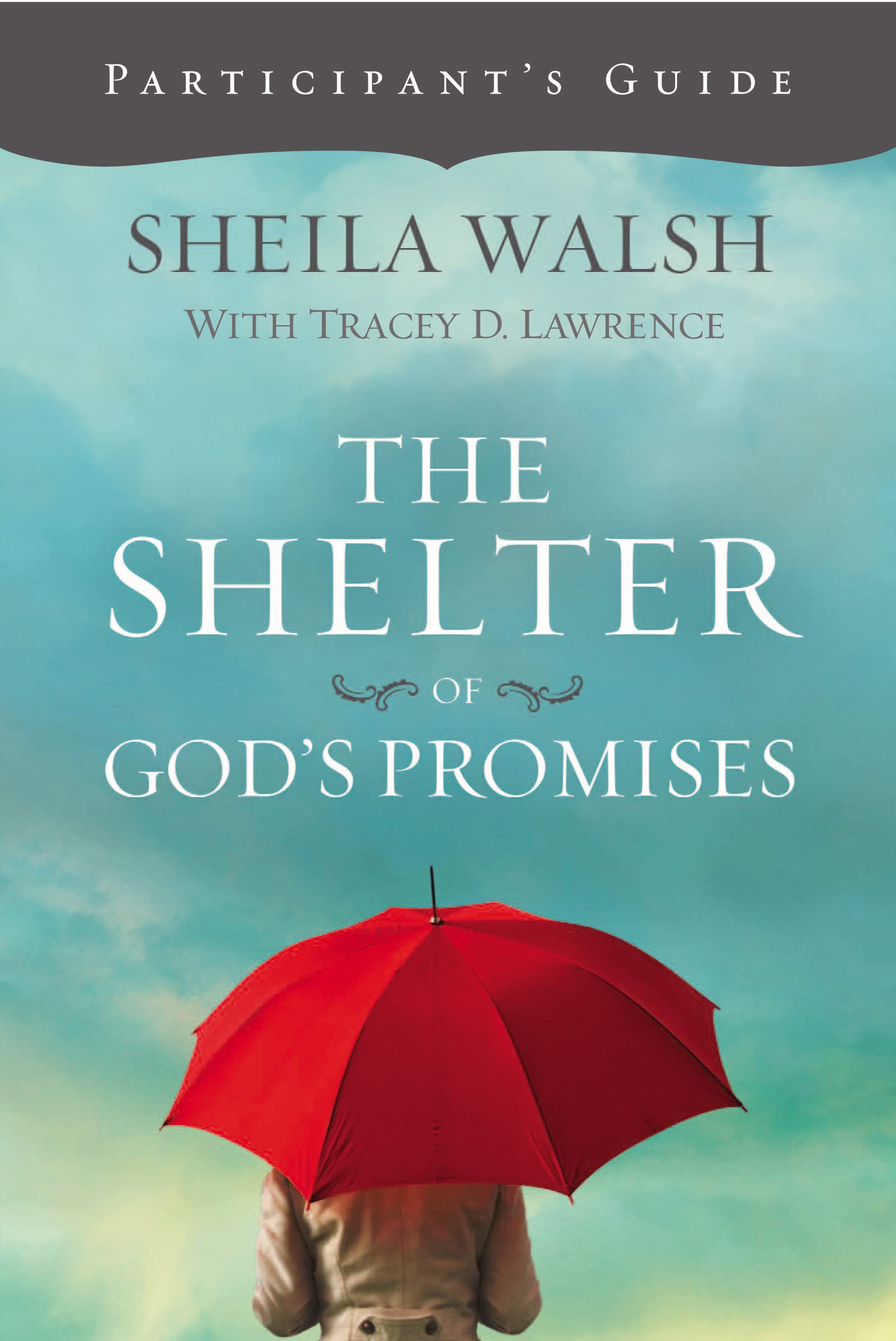 God's Promises Bible Study Guide - Christian Devotional Book for Small Groups & Personal Reflection | Perfect for Church Studies & Spiritual Growth