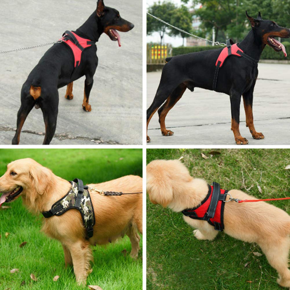 Best No Pull Dog Harness with Handle - Adjustable, Breathable Pet Vest for Small, Medium & Large Dogs - Perfect for Walking, Training & Outdoor Adventures (Includes Free Dog Leash)