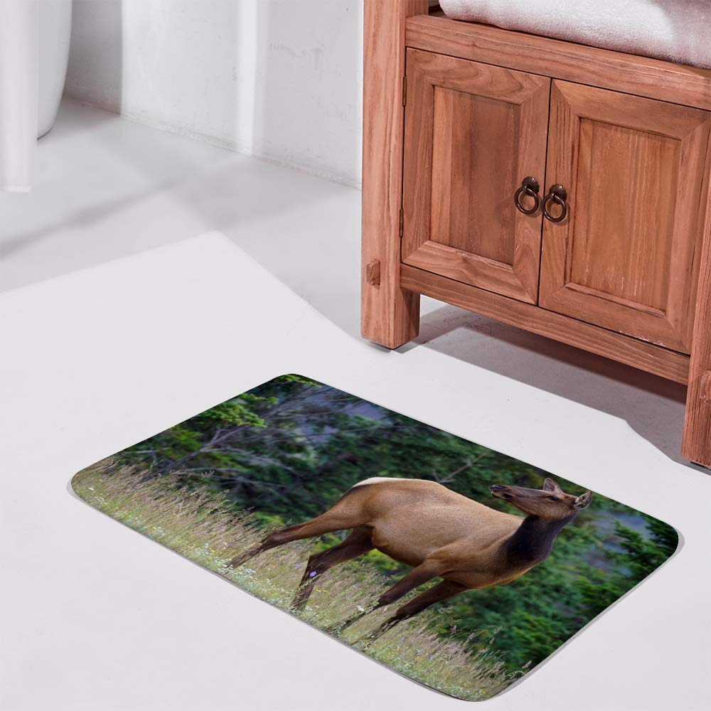 **Non-Slip Memory Foam Bath Mat - Soft Rubber Back, Quick-Dry & Machine Washable - 36 x 24 Inch Bathroom Rug for Hotel & Home Use - Perfect for Bathrooms, Showers, and Spa Areas**