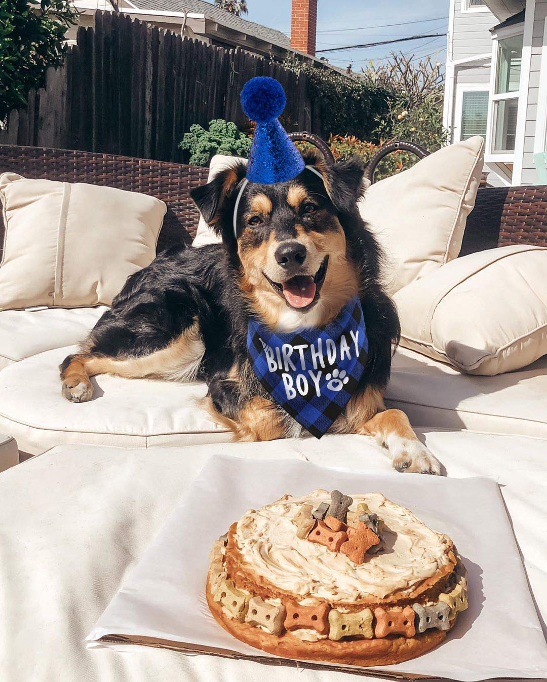 Dog Birthday Party Supplies Set - Pet Birthday Hat & Boy Dog Bandana for Birthday Celebrations & Photo Shoots