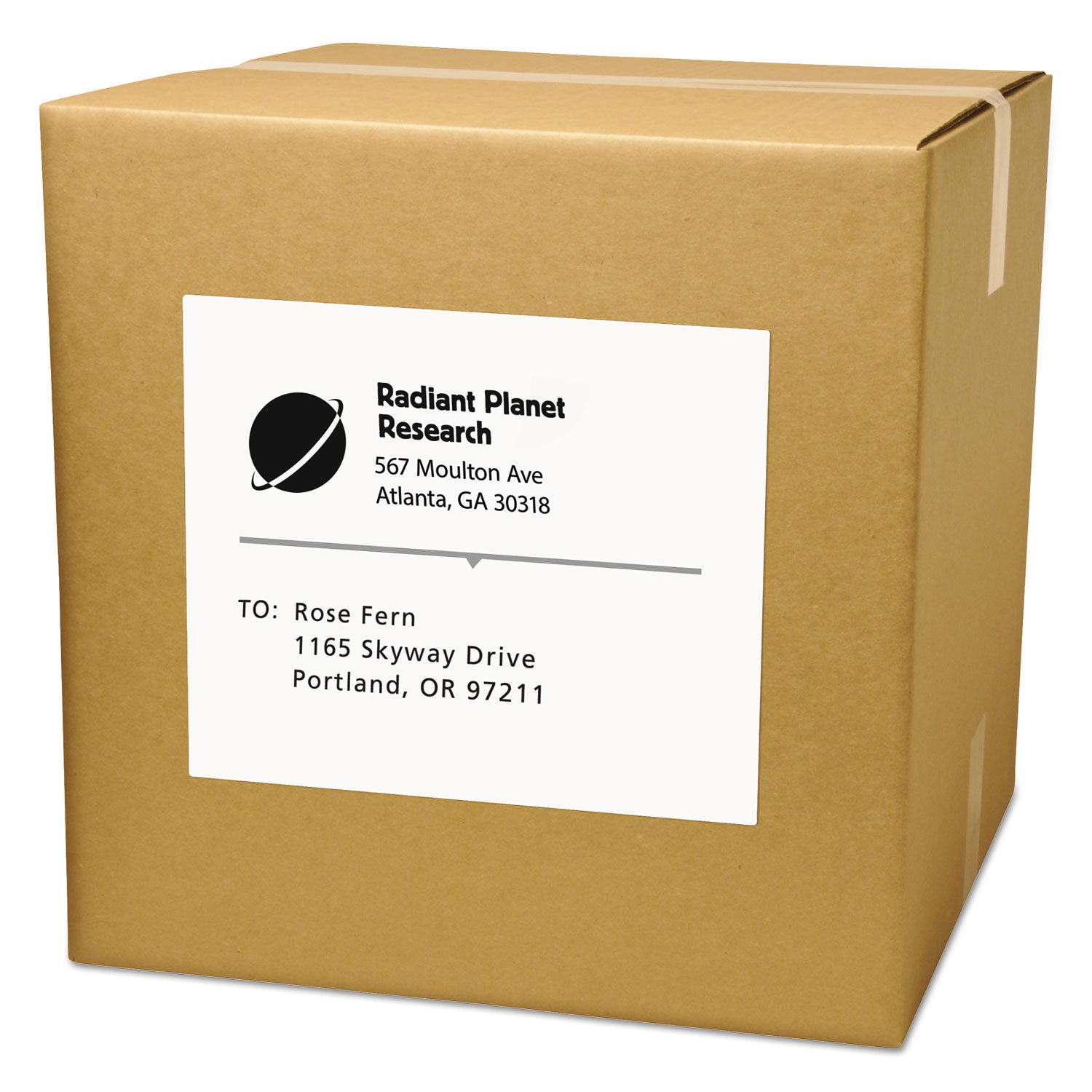 Avery® Copier Mailing Labels - 8.5 x 11 Inch White Self-Adhesive Printer Paper - 100 Sheets per Box for Office, Shipping & Mailing