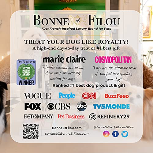 Bonne et Filou Gourmet Peanut Butter Cupcakes for Dogs – Healthy & Delicious Human-Grade Dog Treats – 6 Pack – Perfect for Training Rewards & Special Occasions
