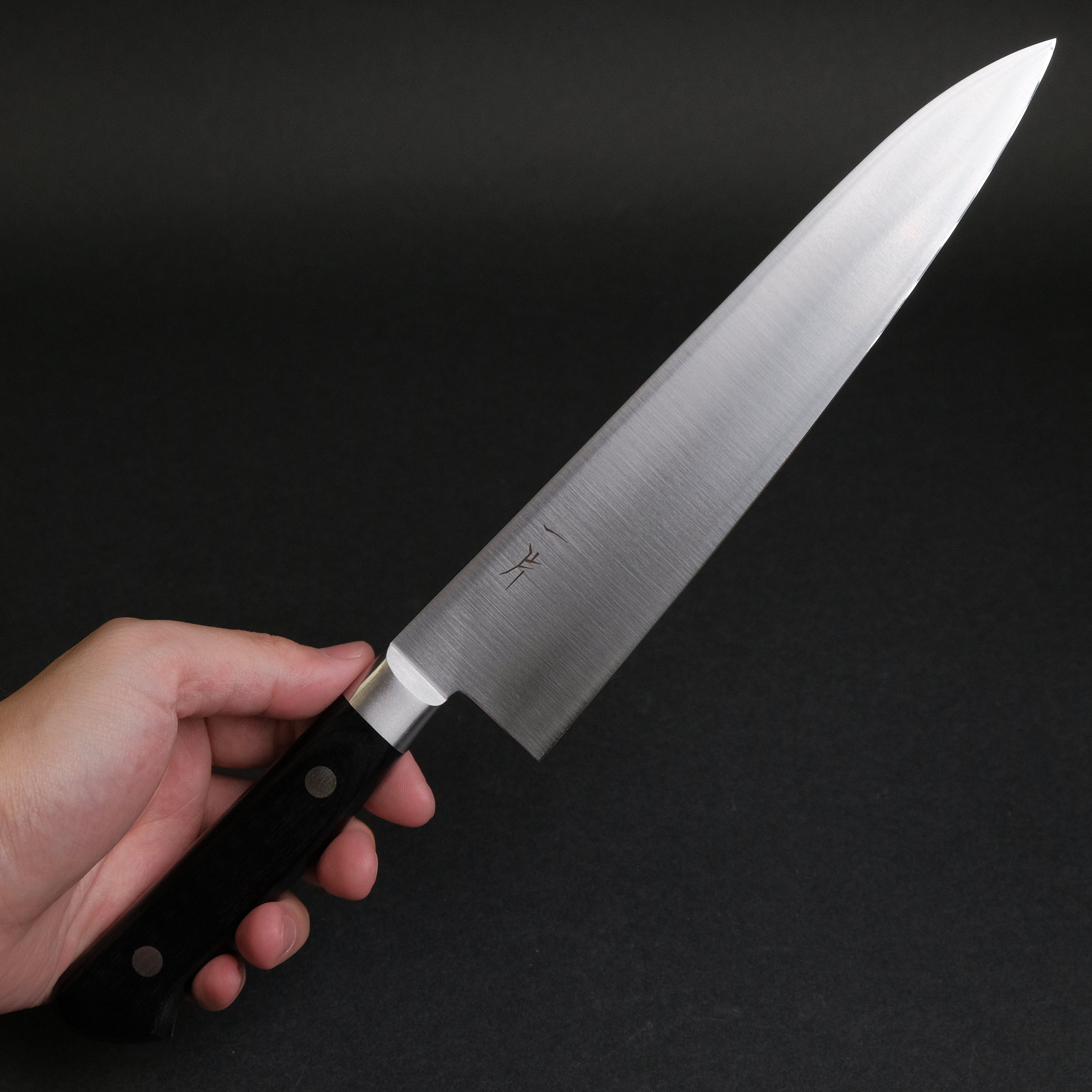 Hitohira FJ VG-10 Gyuto Japanese Chef Knife 210mm with Pakkawood Handle - Professional Kitchen Knife for Sushi, Meat Cutting & Precision Cooking