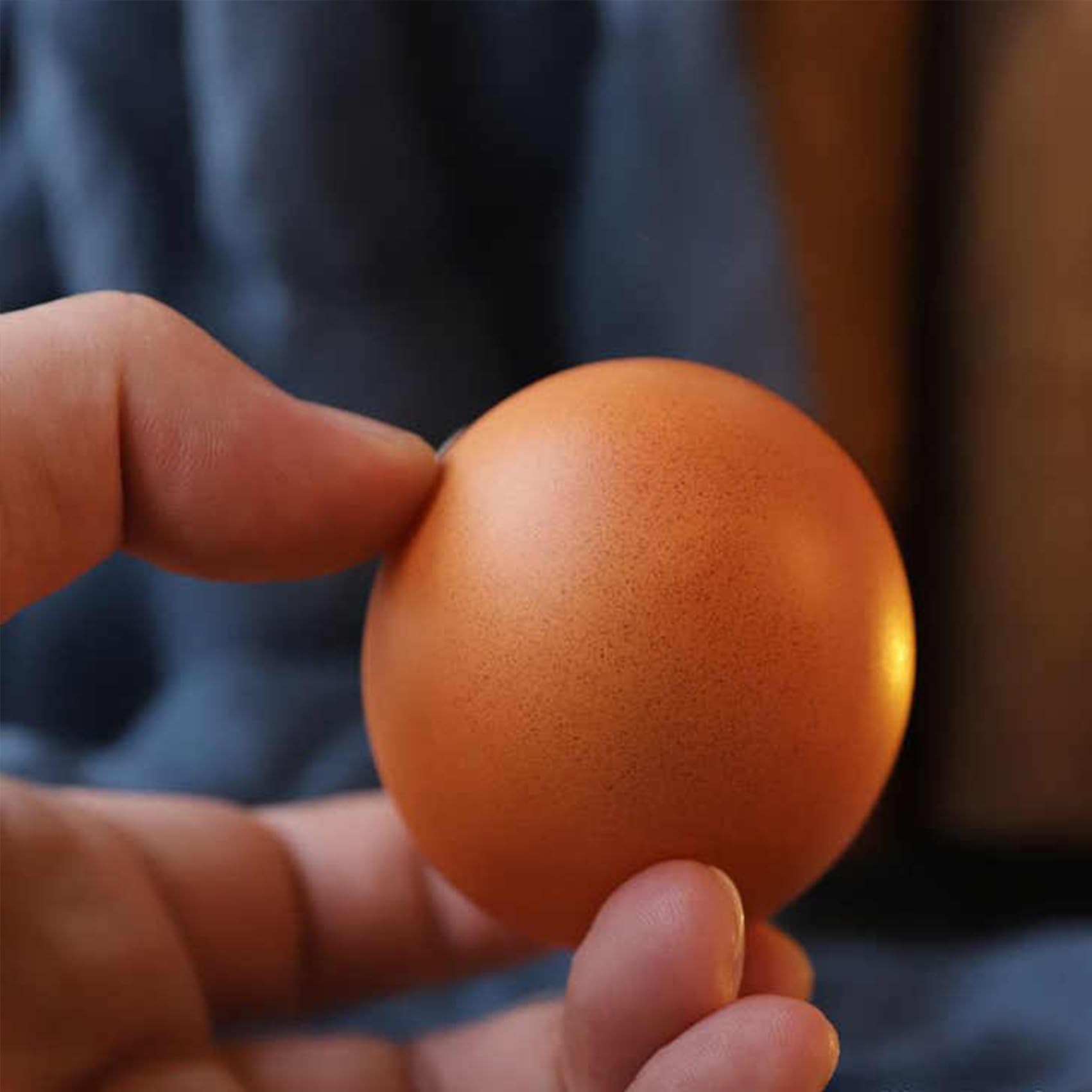 Shiba Inu Dog Squishy Egg Toy - Stress Relief & Anxiety Decompression Squeeze Toy for Kids & Adults - Cute Shibako Puppy Egg for Office, Home, Travel & School Use (1pc)