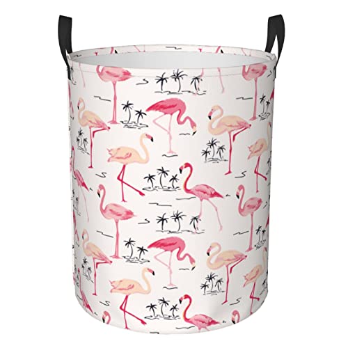 Flamingo Bird