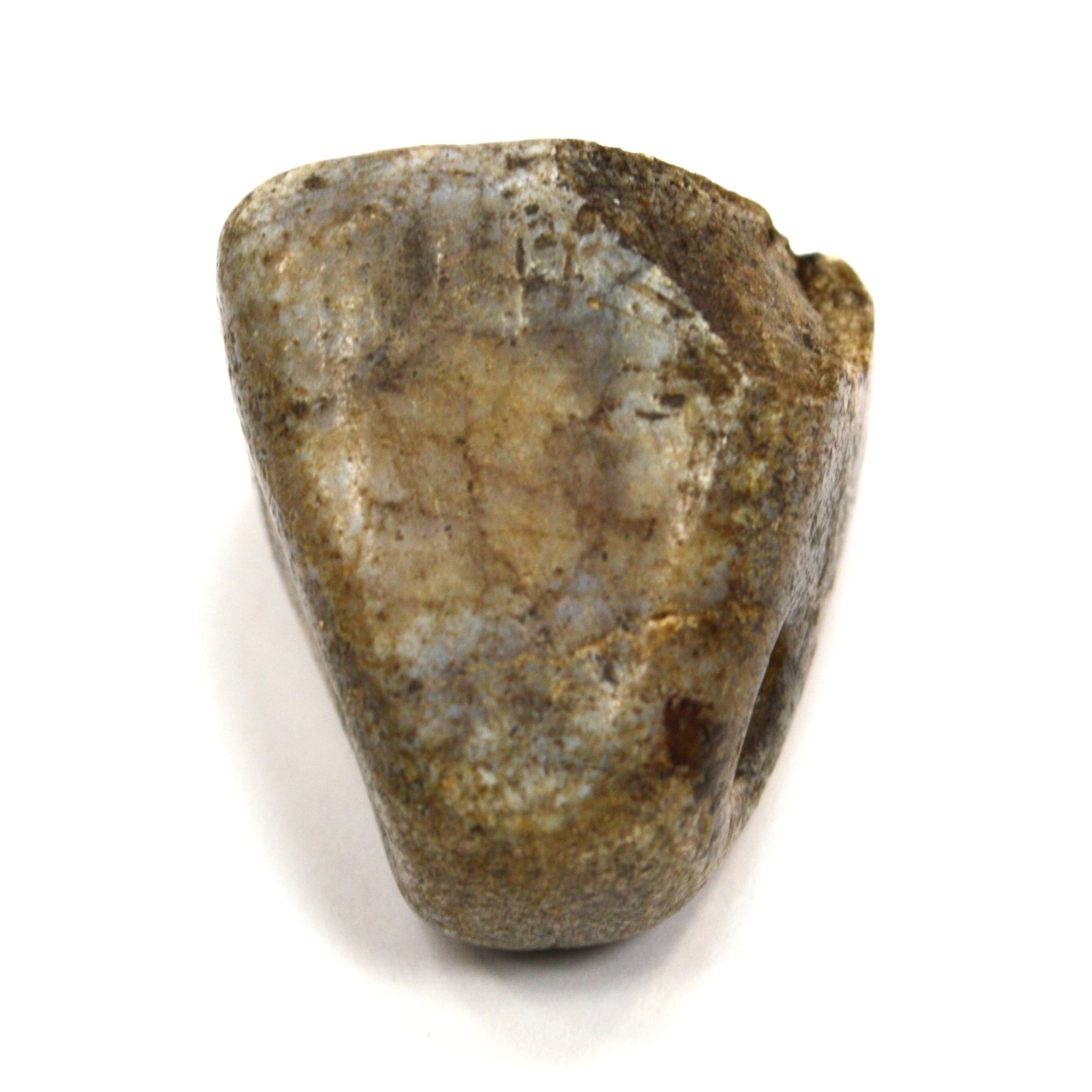Ancient Near East Steatite Conoid Seal Stamp - Authentic Tel Megiddo Artifact with Dog/Cat/Hyena Animal Carving | Perfect for Archaeology Collectors, History Enthusiasts & Ancient Artifact Displays