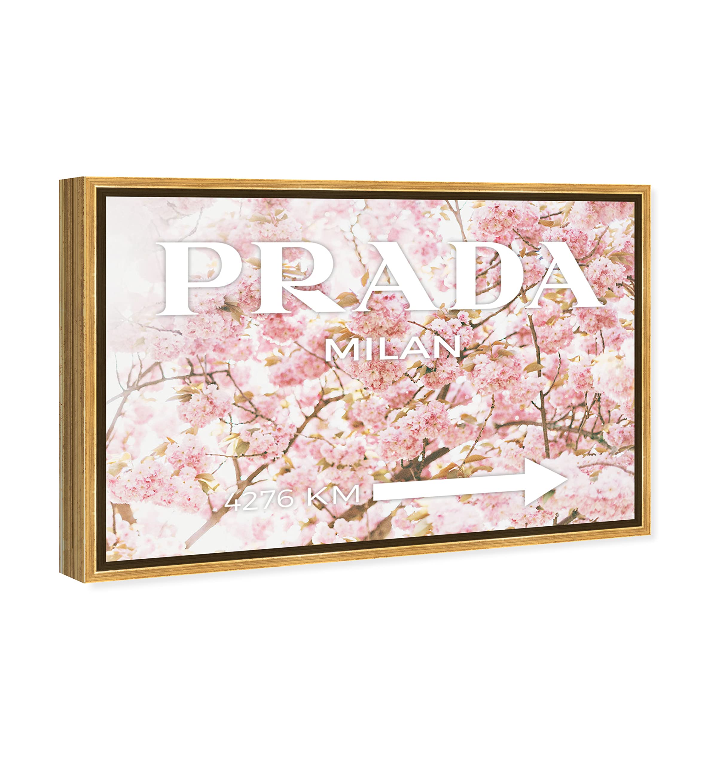 Oliver Gal Artist Co. 'Milan Sakura' Framed Wall Art - 24