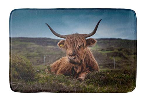 Premium Highland Cow Bath Mat (24x16 Inch) - Ultra Soft & Absorbent Bathroom Rug, Machine Washable & Dryer Safe, Non-Slip Floor Mat for Tub, Shower & Bathroom - Perfect for Farmhouse, Rustic & Cozy Home Decor