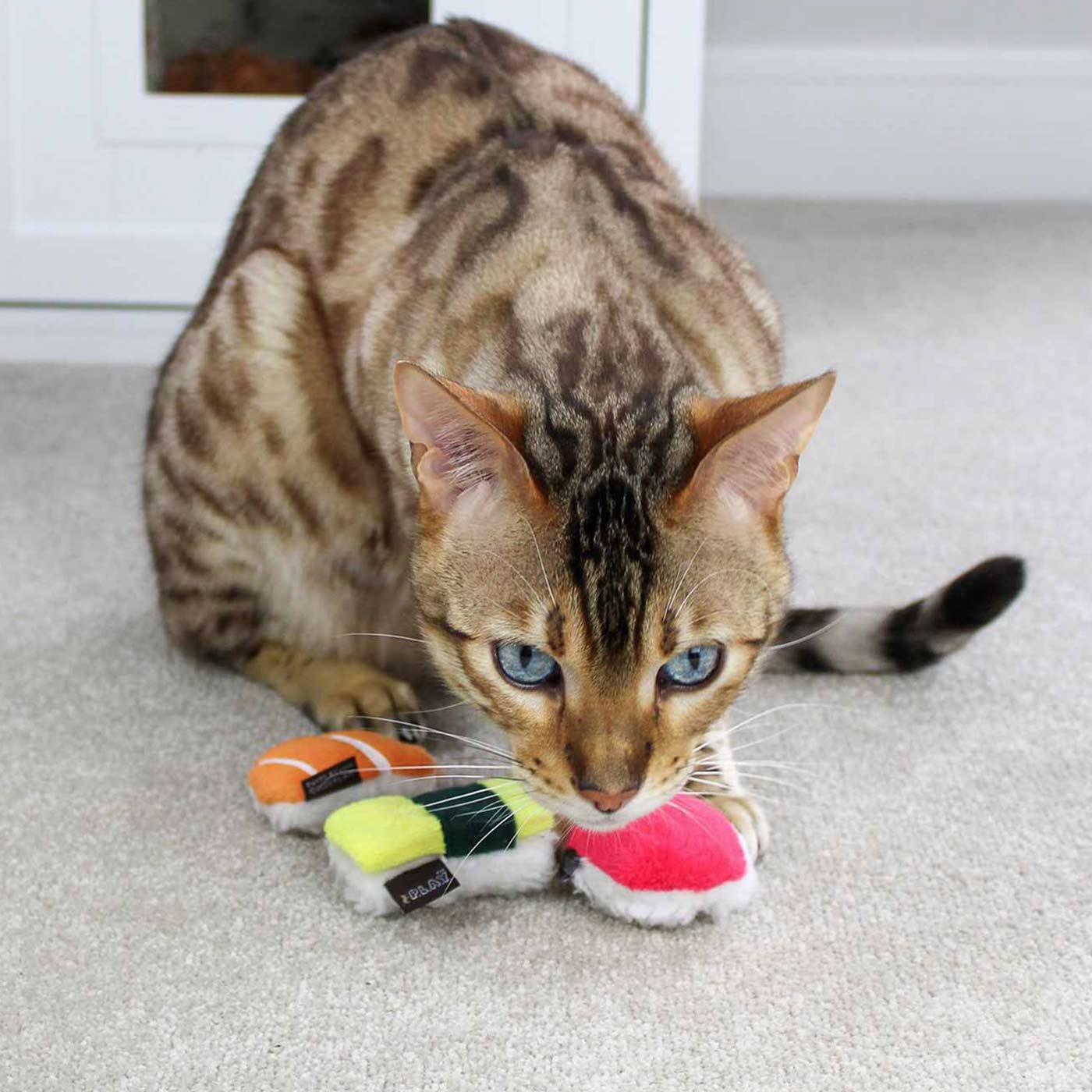 P.L.A.Y Sushi Cat Toys (3 Pack) - Fun Interactive Catnip Toys for Indoor Cats - Perfect for Playtime, Training & Stress Relief