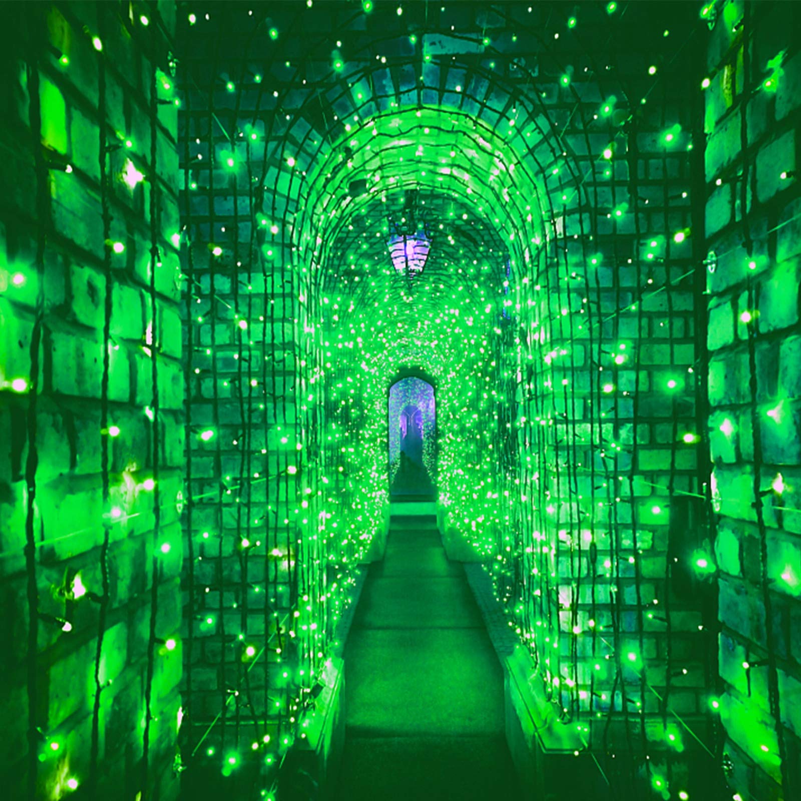 Twinkle Star St. Patrick's Day Green LED String Lights - 2 Pack 16FT 50 LED Waterproof Fairy Lights for Indoor/Outdoor Use, Battery Powered Shamrock Party Decorations - Perfect for Patio, Garden, Christmas Tree, Wedding & Holiday Decor