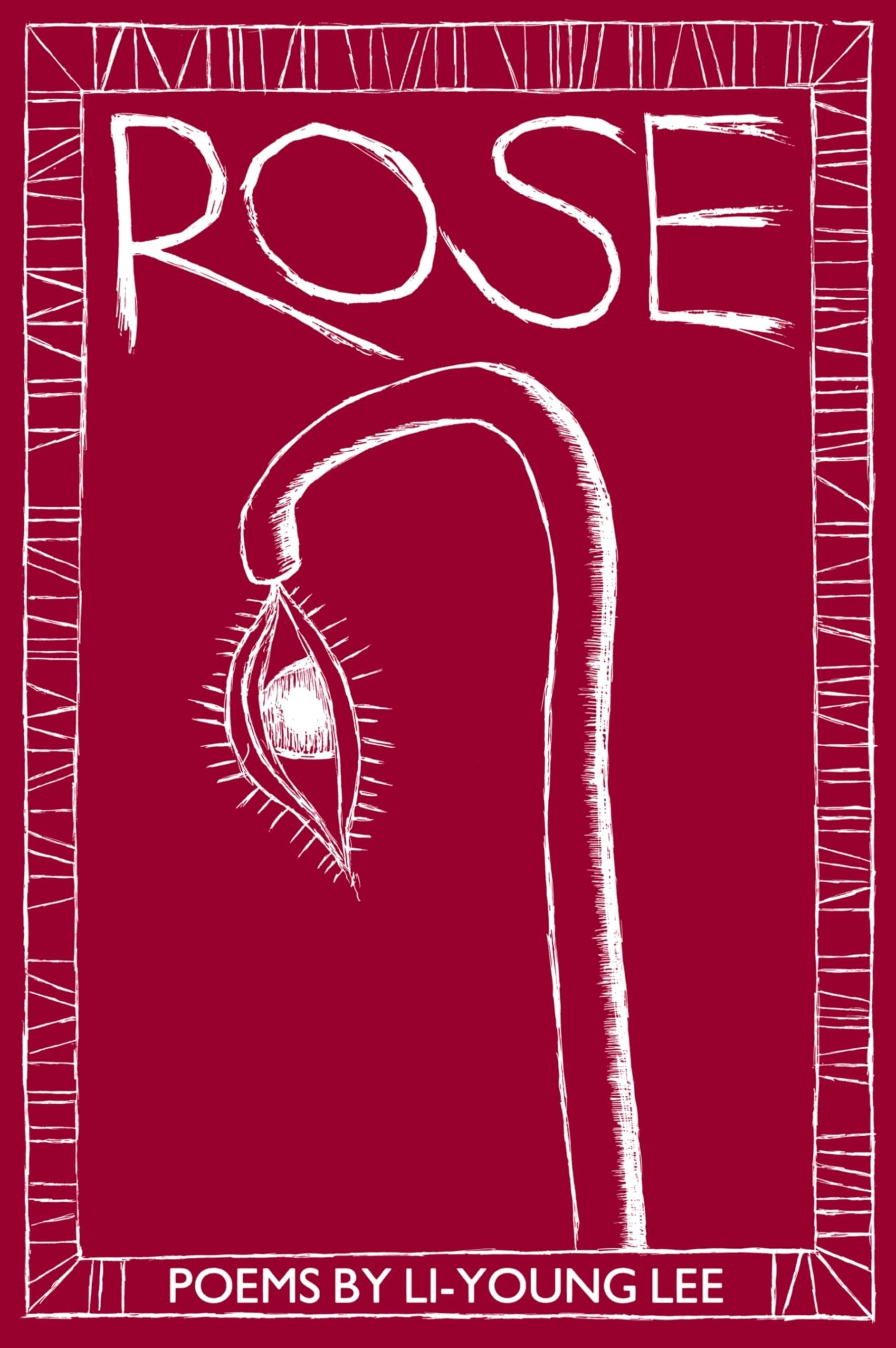 Fresh Cut Roses - Long Lasting Beautiful Roses for Bouquets, Weddings, Anniversaries & Romantic Gifts - Perfect for Home Decor, Valentine's Day & Special Occasions