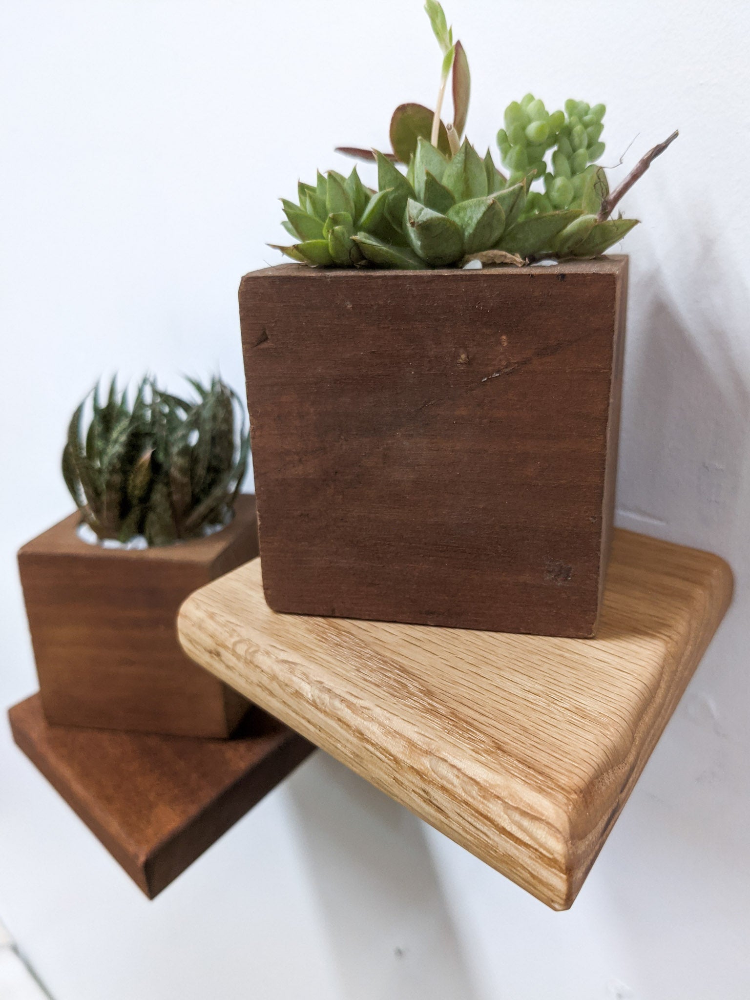 Stylish Oak Rhombus Display Shelf - Perfect for Home Decor, Books & Collectibles | Small Wall Shelf for Living Room, Bedroom & Office