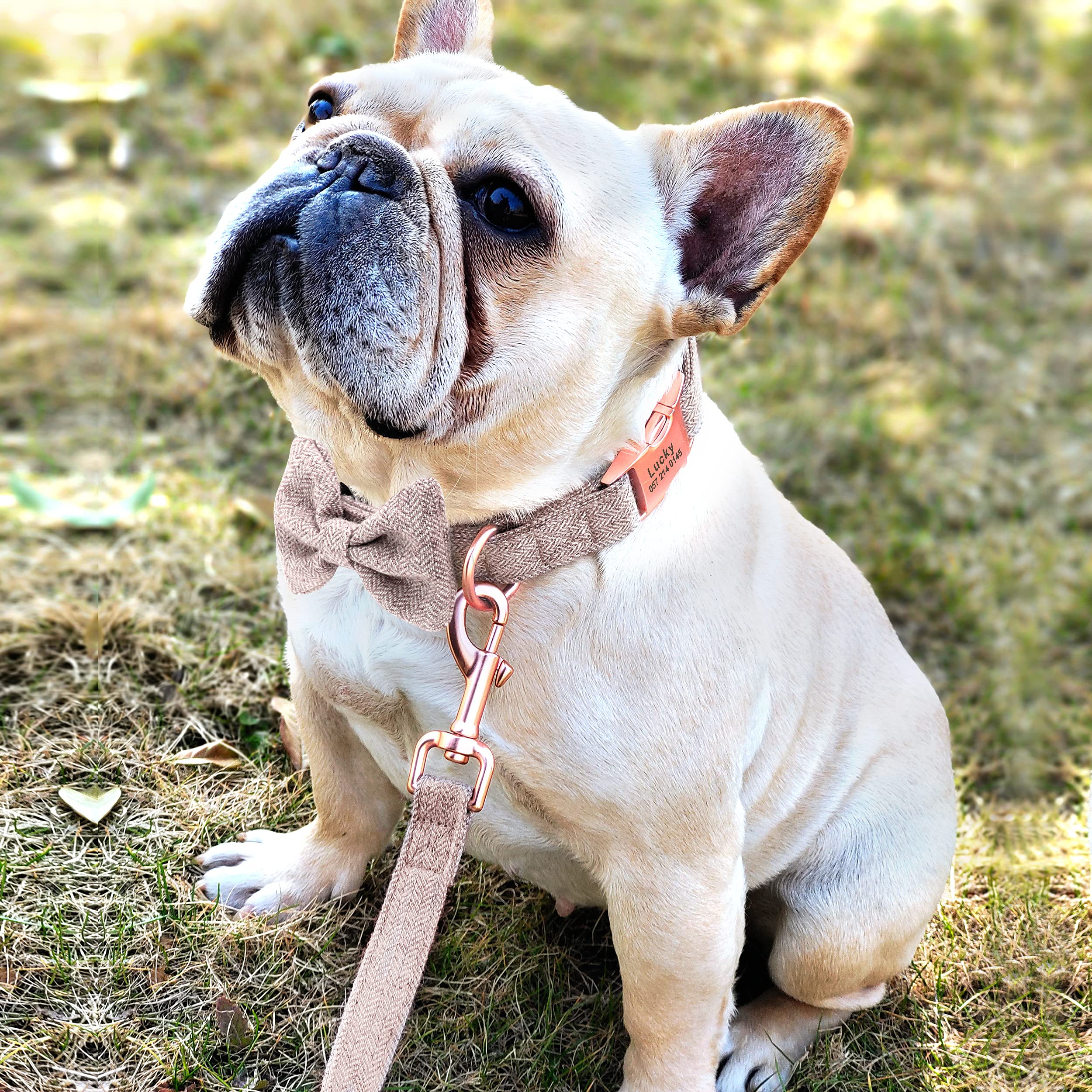 Personalized Girl Dog Collar with Detachable Bowtie - Soft & Comfortable Pet Collar and Leash Set with Rose Gold Buckle - Adjustable Dog Collar for Small, Medium & Large Dogs (Brown) - Perfect for Daily Walks, Pet Parties & Photo Shoots