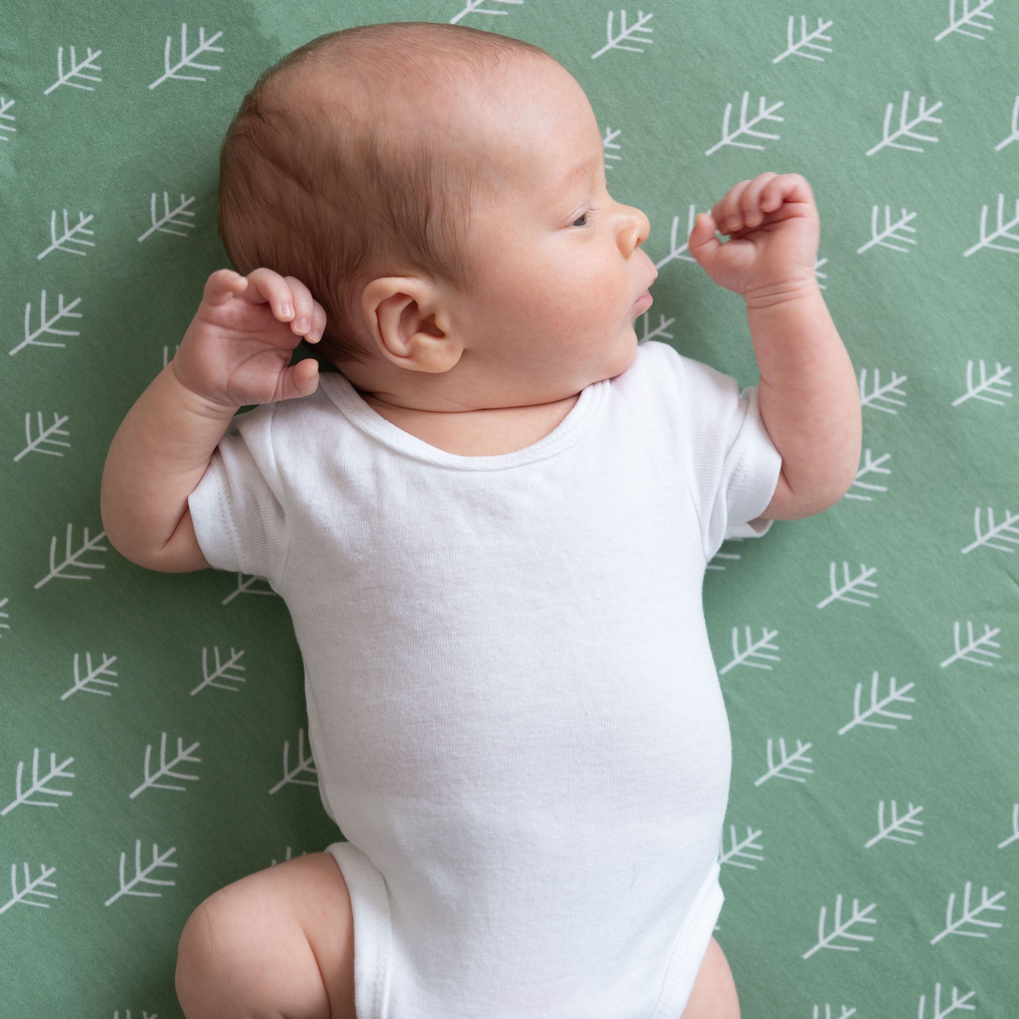 Nordic 2-Pack Jersey Cotton Fitted Sheets - Soft Breathable Crib Sheets for Baby (Avocado Green & Forest Green) - Perfect for Nursery, Daycare & Travel Cribs