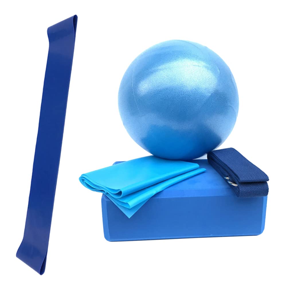 LIOOBO 5-Piece Yoga Ball Chair Set with Stability Base & Resistance Bands - Home Gym & Office Fitness Ball for Back Pain Relief, Posture Correction & Balance Training - Includes Exercise Videos - Blue