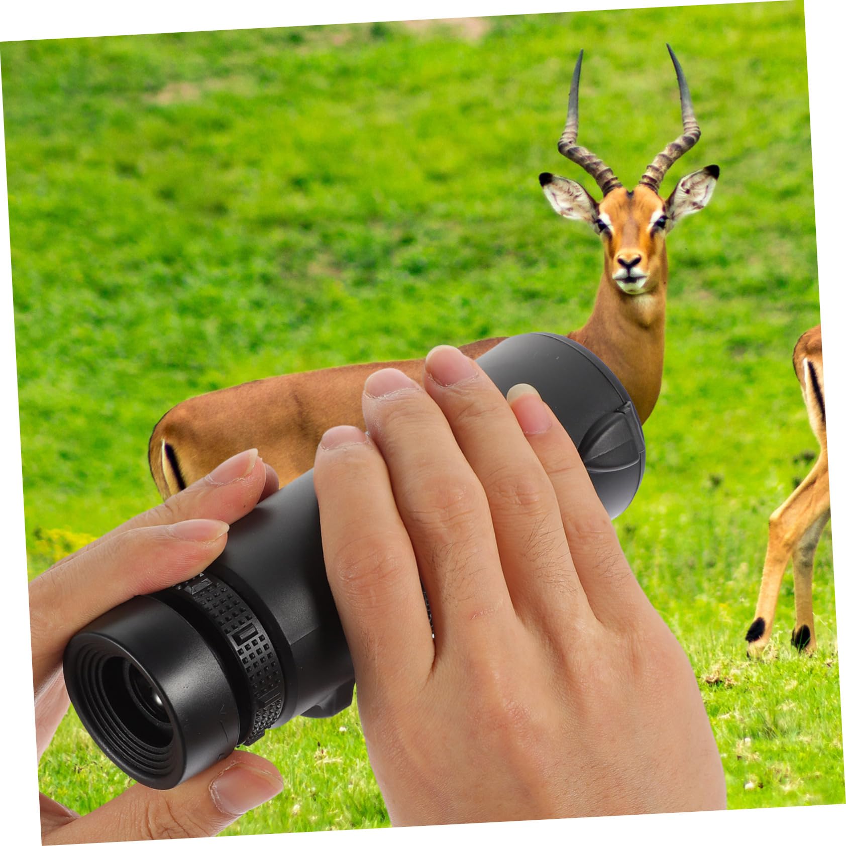 HEMOBLLO 2-Pack Night Vision Monocular Telescope - HD 10x42 Zoom for Bird Watching, Hiking & Camping | Compact Handheld Binoculars with PVC Soft Grip | Perfect for Outdoor Adventures, Wildlife Observation & Travel Gear