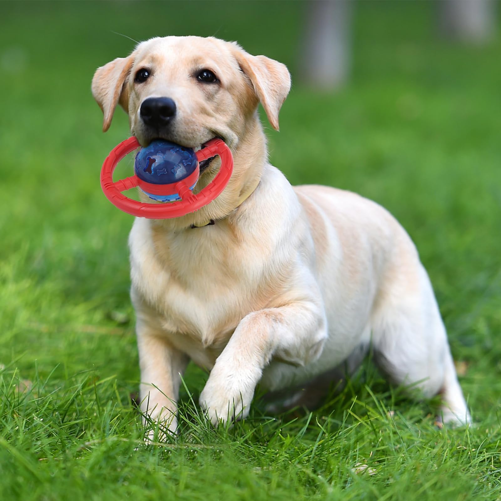 Interactive Treat Dispensing Dog Toys - Slow Feeder Puzzle Toys for Small & Medium Dogs - Durable Chew Toys for Boredom Relief & Healthy Eating - Perfect for Mealtime Fun, Training Rewards & Mental Stimulation