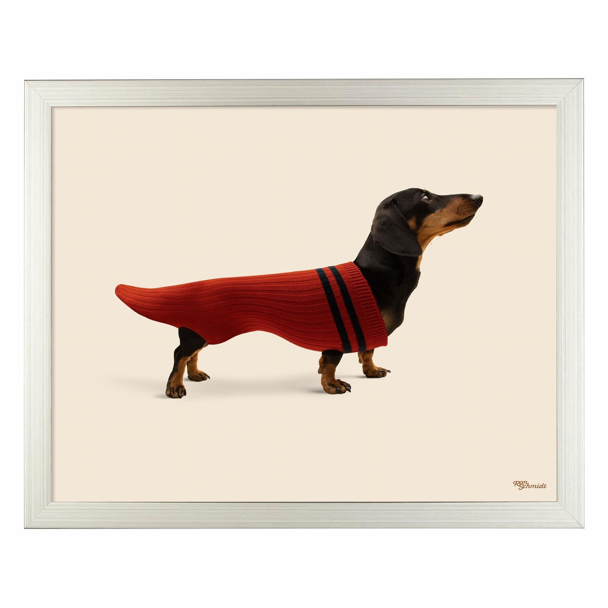Dox in Sox Art Prints - Whimsical Dog Socks Wall Decor for Living Room, Nursery & Office | Unique Animal Illustration Artwork