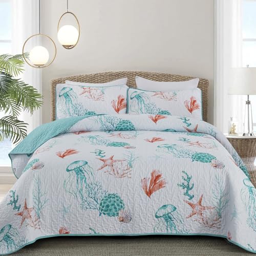 Coral and Jellyfish