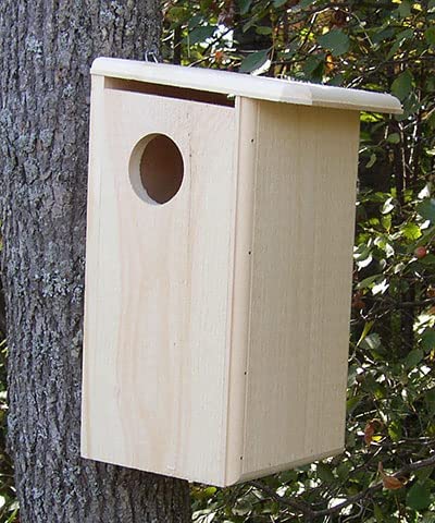 Squirrel House - Durable Outdoor Wooden Squirrel Nest Box for Backyard Wildlife Habitat - Perfect for Garden, Park & Nature Observation