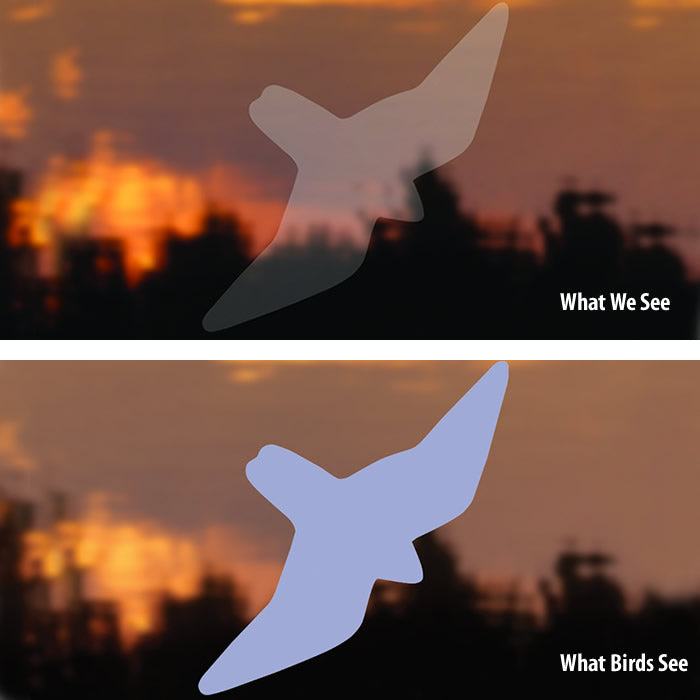 Duncraft Bird Safe® Birds of Prey Window Decals - Prevent Bird Strikes | UV-Resistant Window Stickers for Hawks & Owls | Perfect for Home, Office & School Windows to Protect Wild Birds